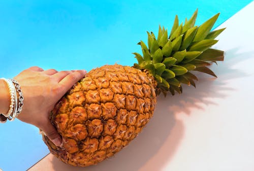 Person Holding Pineapple Fruit on Blue and White Background