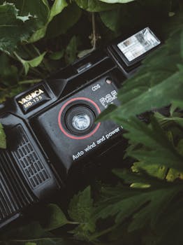 A classic Yashica MD-135 camera lies surrounded by lush green leaves, evoking nostalgia.
