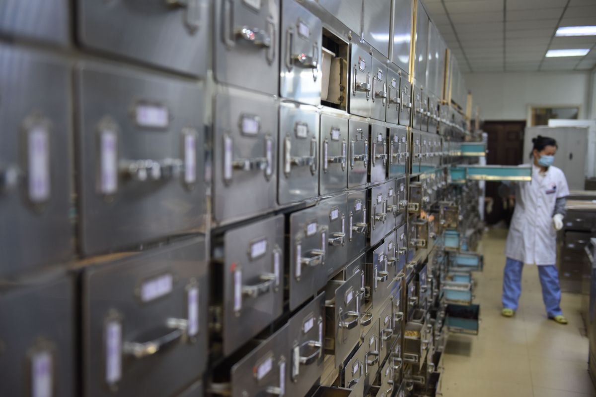 storage moves in Copplestone — Storage Moves in Copplestone — the working end of the job