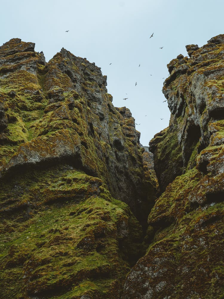 Eroded Cliffs Covered In Moss