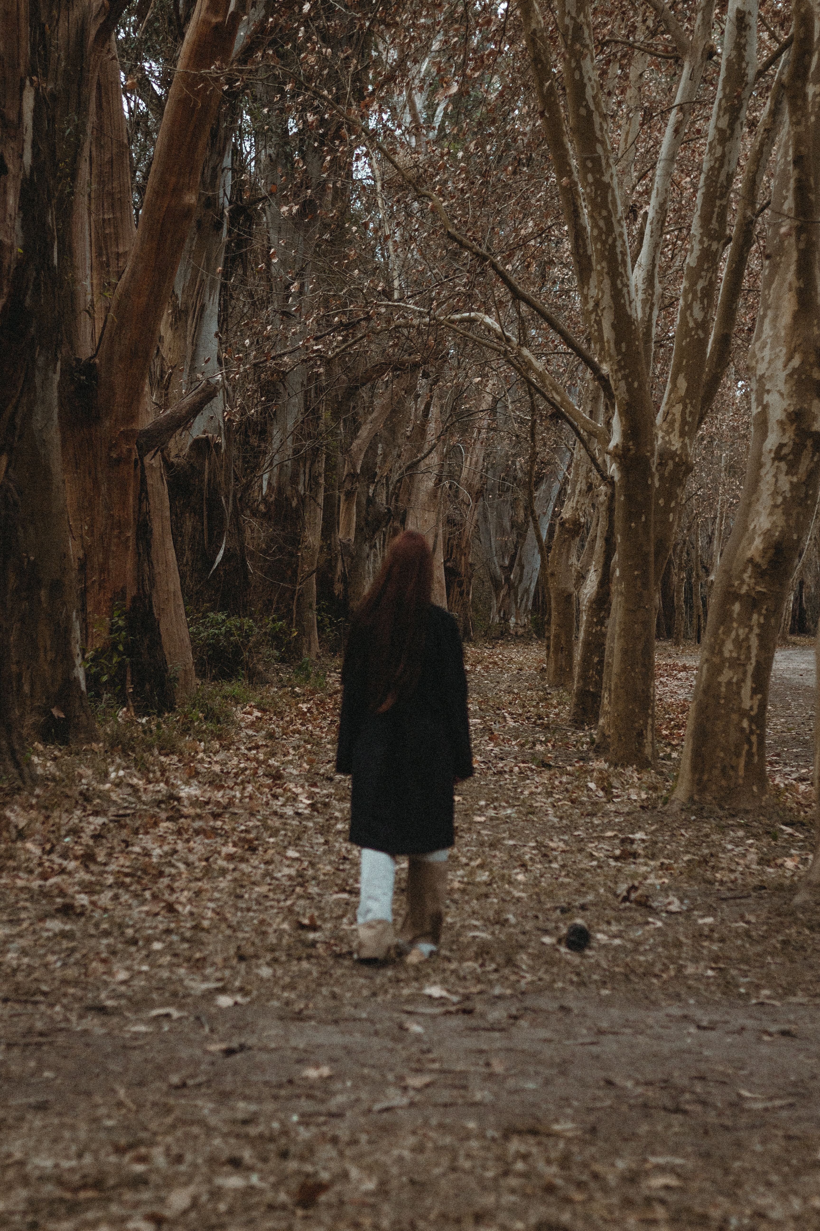 A Woman Wearing a Black Coat Walking in a Forest · Free Stock Photo
