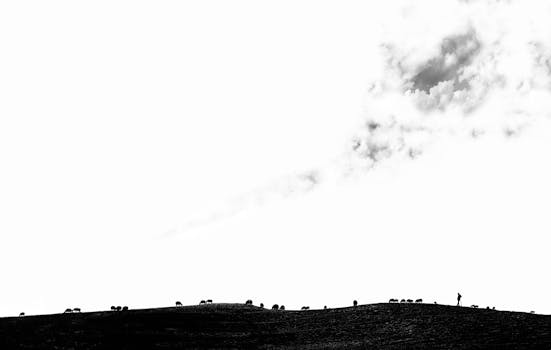 Striking silhouette of livestock grazing on a hill under a cloudy sky, in black and white.