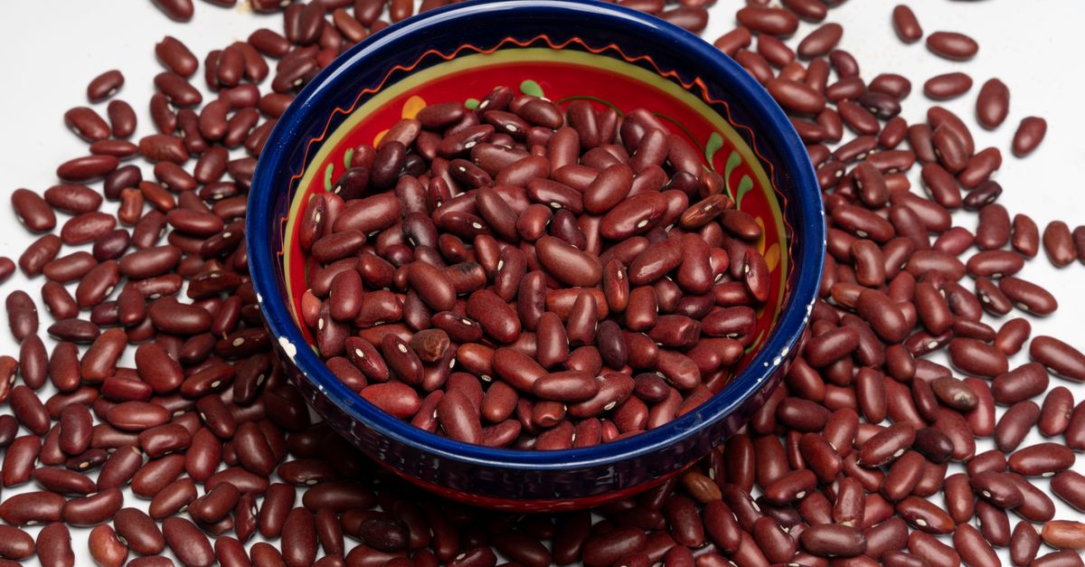 kidney health