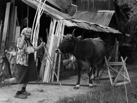 Grayscale Photo of Woman Standing Beside Cow