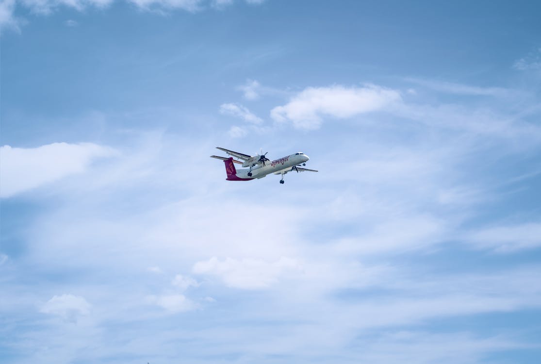 Foto d'estoc gratuïta de aire, aviació, avió