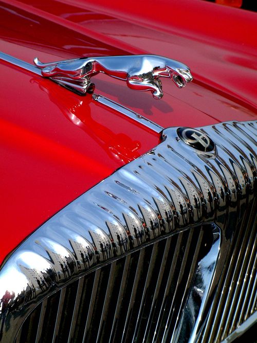 Free Detailed shot of a vintage red car showcasing chrome Jaguar emblem and grill. Stock Photo