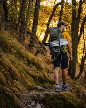 A man hikes through a lush forest trail in Luxembourg, surrounded by vibrant autumn colors.