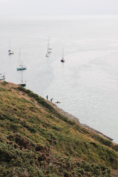 White Boats on Sea