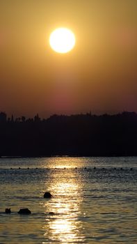 A stunning silhouette of trees against a golden sunset reflecting on tranquil waters.