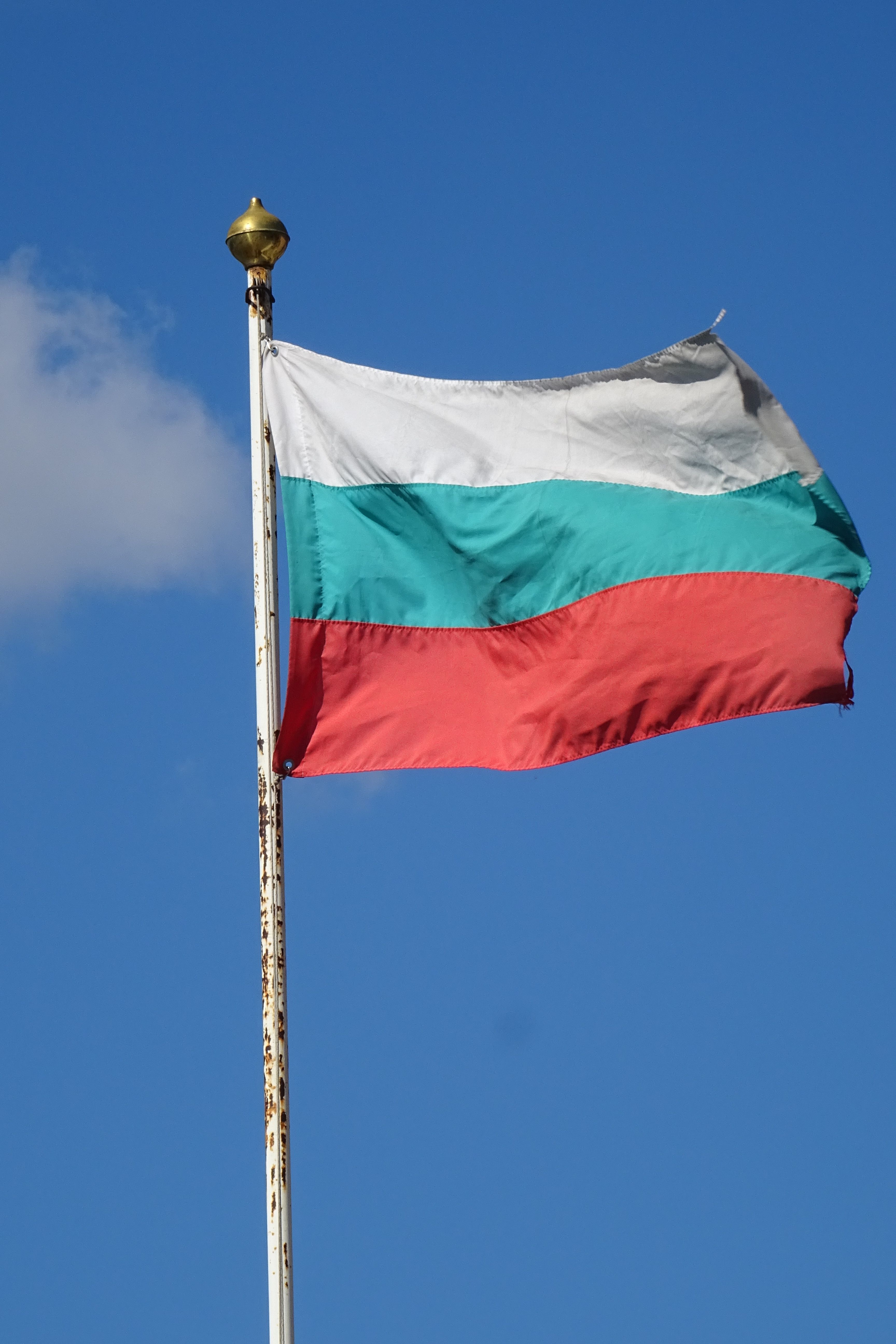 Flag of Israel on White Pole Under Blue Sky · Free Stock Photo