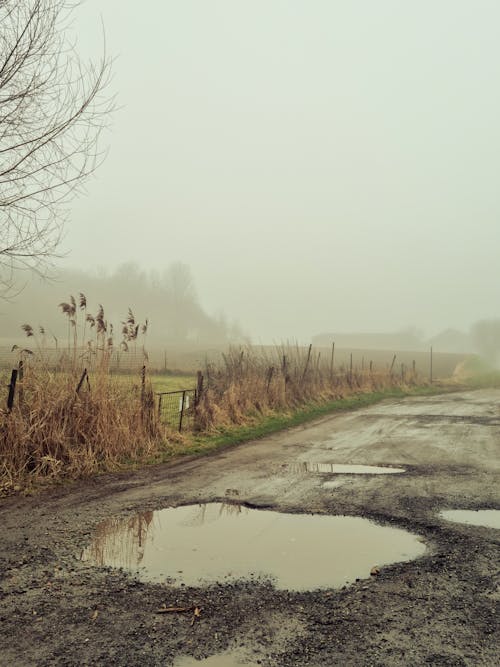 Základová fotografie zdarma na téma bahnitý, mlha, špinavá cesta