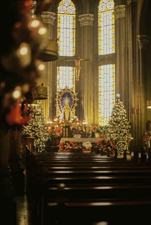 교회, 대성당, 불빛의 무료 스톡 사진