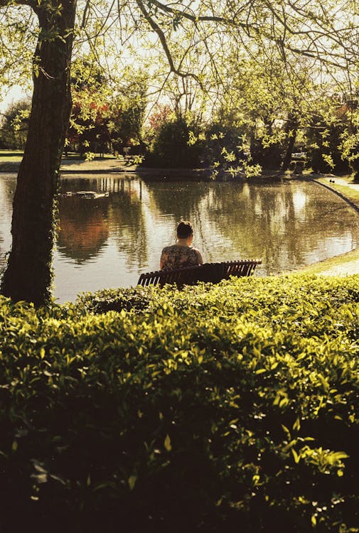 Woman Sitting on Metal Bench Near Lake