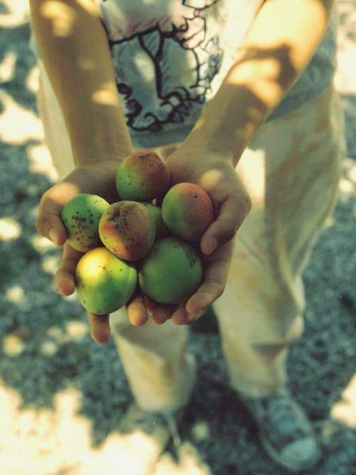 Foto profissional grátis de fruta, holding, mangas