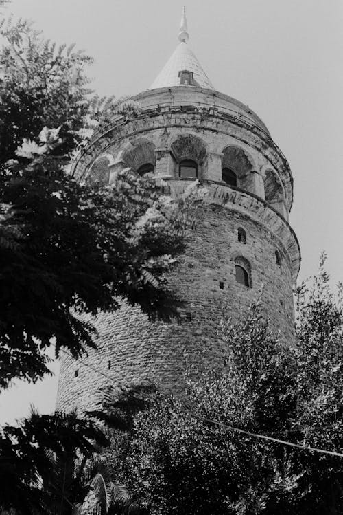 イスタンブール, ガラタ塔, グレースケールの無料の写真素材