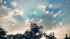 阳光穿过云层，照亮了树木的轮廓，映衬着美丽的天空