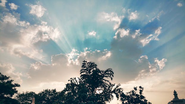 阳光穿过云层，照亮了树木的轮廓，映衬着美丽的天空