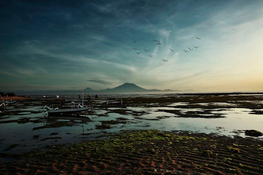 A tranquil beach scene during dawn with a distant volcano and birds in flight, offering a peaceful setting.