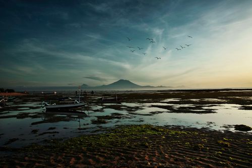 Free A tranquil beach scene during dawn with a distant volcano and birds in flight, offering a peaceful setting. Stock Photo