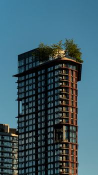 A modern high-rise building in Vancouver, BC features lush greenery on its rooftop.
