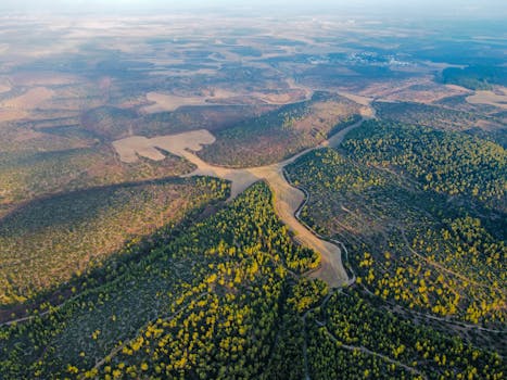 Stunning aerial view of a vast landscape featuring lush green forests and expansive fields.