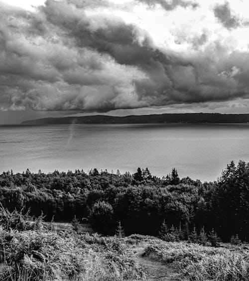 Grayscale Photo of Body of Water