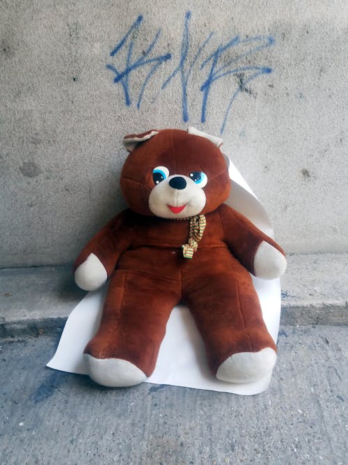 Kostnadsfri bild av björn, teddy