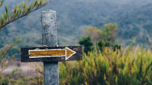 Close up of a Directional Sign