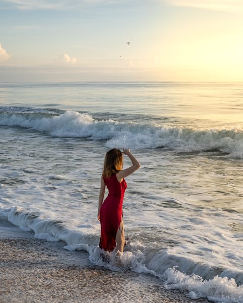 ayakta, dalgalar, deniz kıyısı içeren Ücretsiz stok fotoğraf