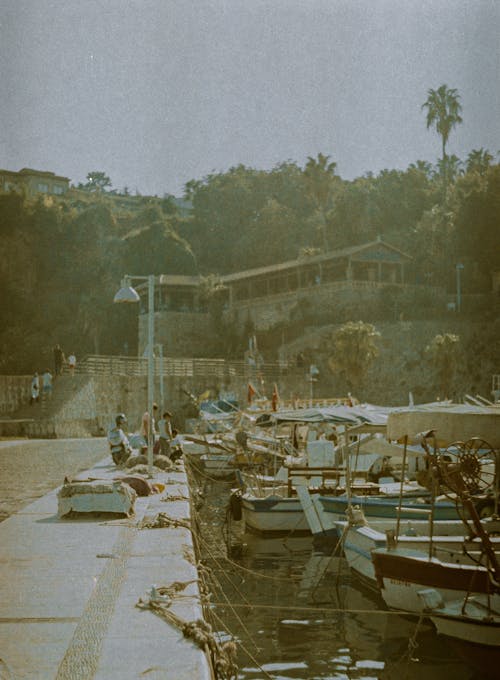 White and Brown Wooden Boats on Dock