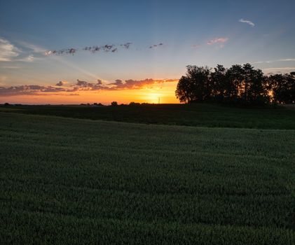 Beautiful sunset over rural Minnesota farmland with lush green fields and distant trees.