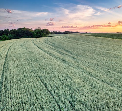 Darmowe zdjęcie z galerii z krajobraz, na dworze, natura