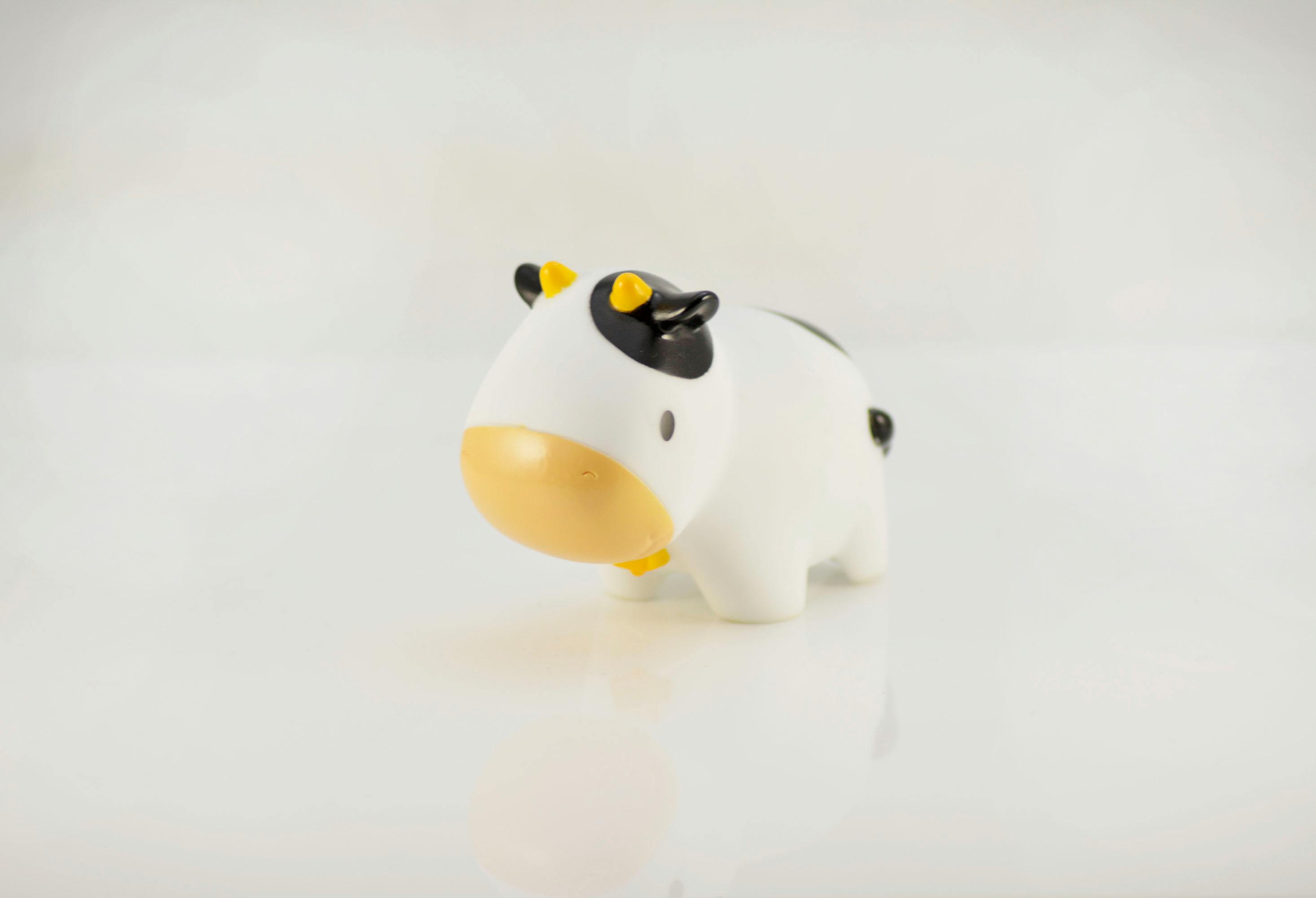Free stock photo of bath toy, cow, cows