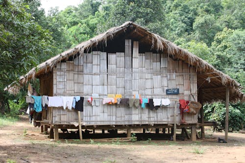 Straw Bungalow in Forest