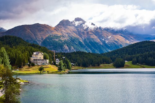 Photos gratuites de fond d'écran, forêt, lac de Saint-Moritz