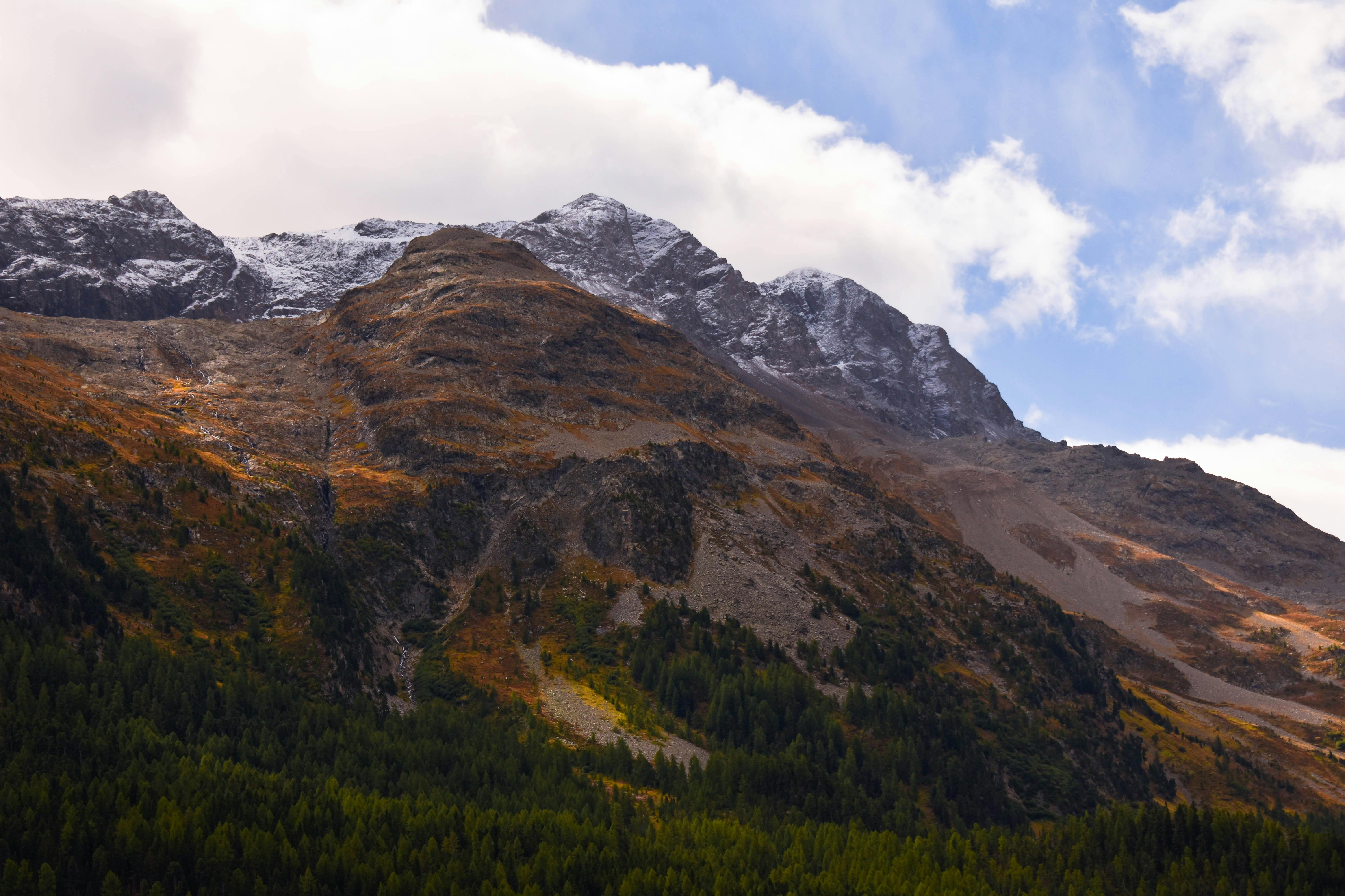 Miễn phí Ảnh lưu trữ miễn phí về các hoạt động ngoài trời, cao điểm, cây Ảnh lưu trữ