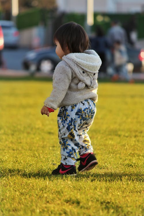 垂直ショット, 女の子の赤ちゃん, 子の無料の写真素材