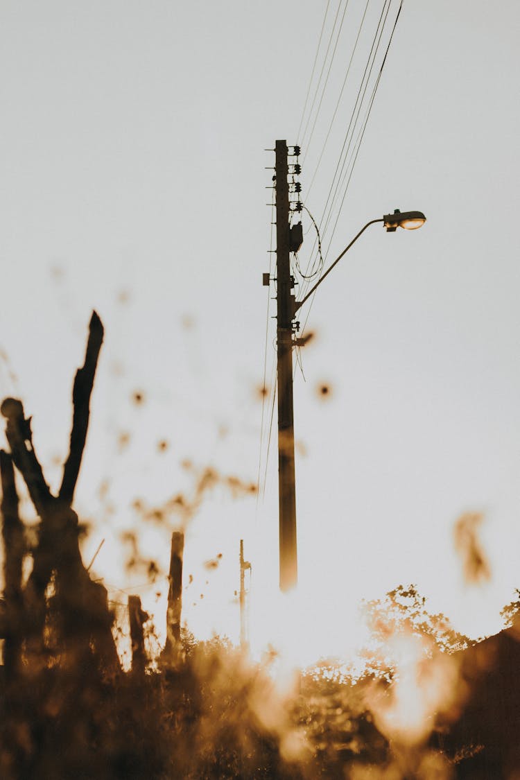 Street Lamps And Electricity Lines On Sky Background