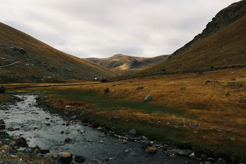 Rocks on Shallow River 