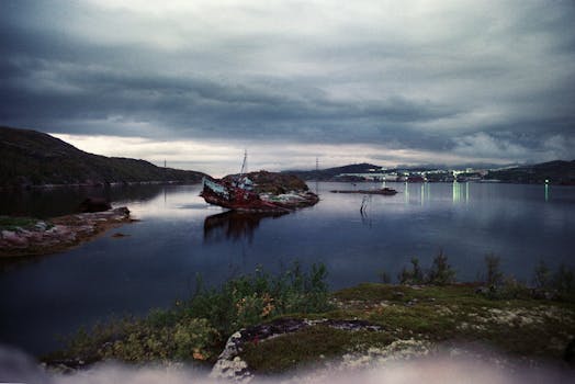 Image by Daria Ustenko