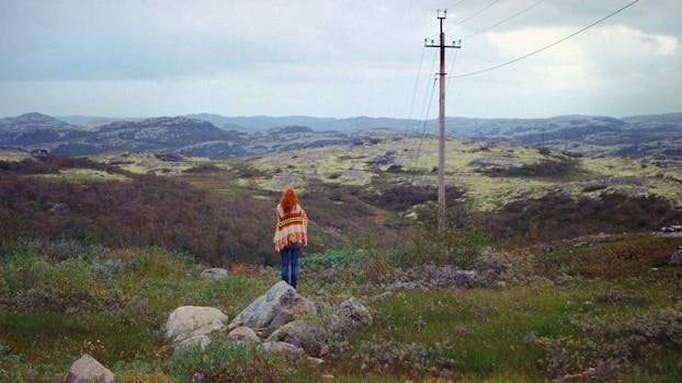 Image by Daria Ustenko