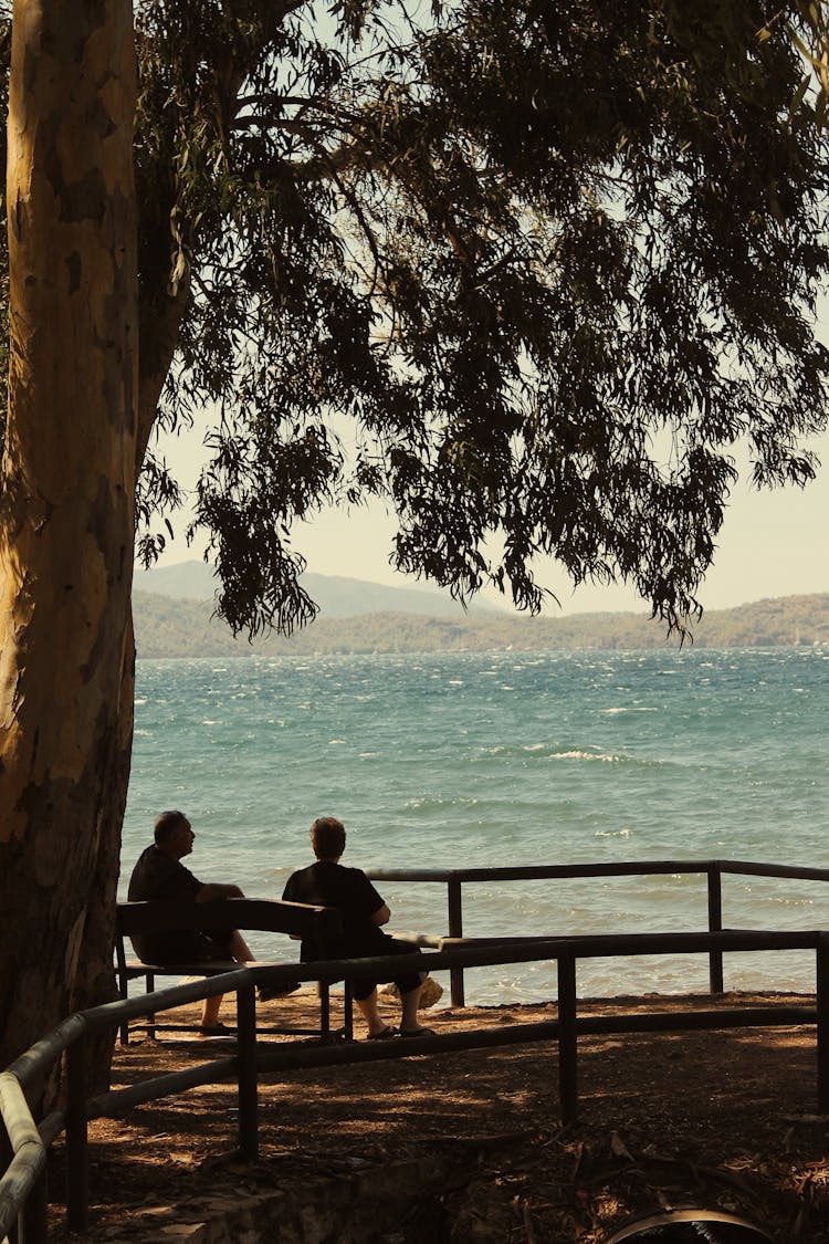 An Elderly Couple Enjoying The Ocean View