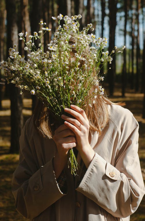 Kostenloses Stock Foto zu abdeckung, blumen, blumenstrauß