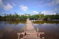 蔚蓝的天空下，一座乡村木桥横跨宁静的河流，四周环绕着郁郁葱葱的绿色植物，景色如画