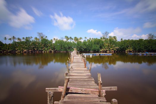 蔚蓝的天空下，一座乡村木桥横跨宁静的河流，四周环绕着郁郁葱葱的绿色植物，风景如画