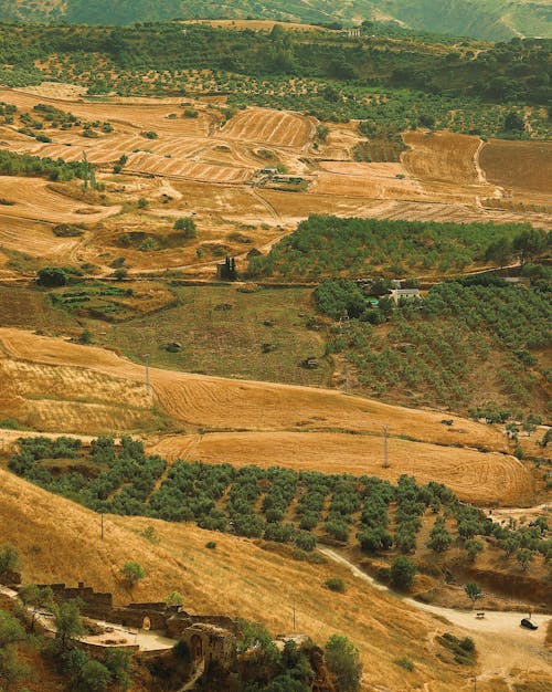 Δωρεάν στοκ φωτογραφιών με αγρόκτημα, αγροτική περιοχή, αεροφωτογράφιση