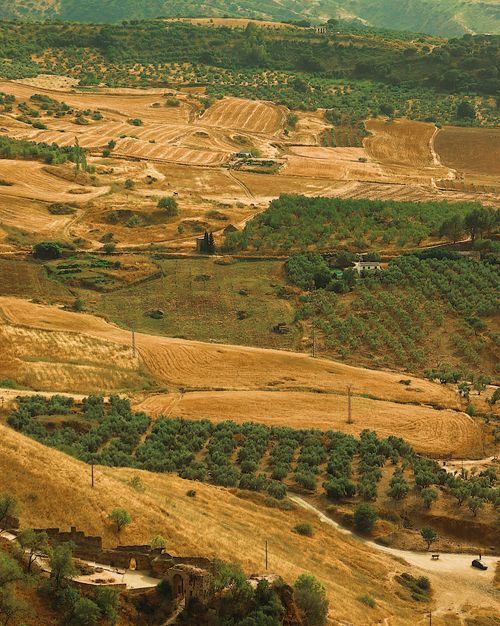 Free Aerial photo of scenic farmland and hills during summer, showcasing rural beauty. Stock Photo