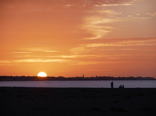 Silhouette of People on Beach during Sunset