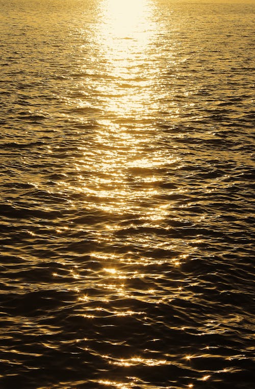 Sunlight Reflecting in Rippled Sea Water