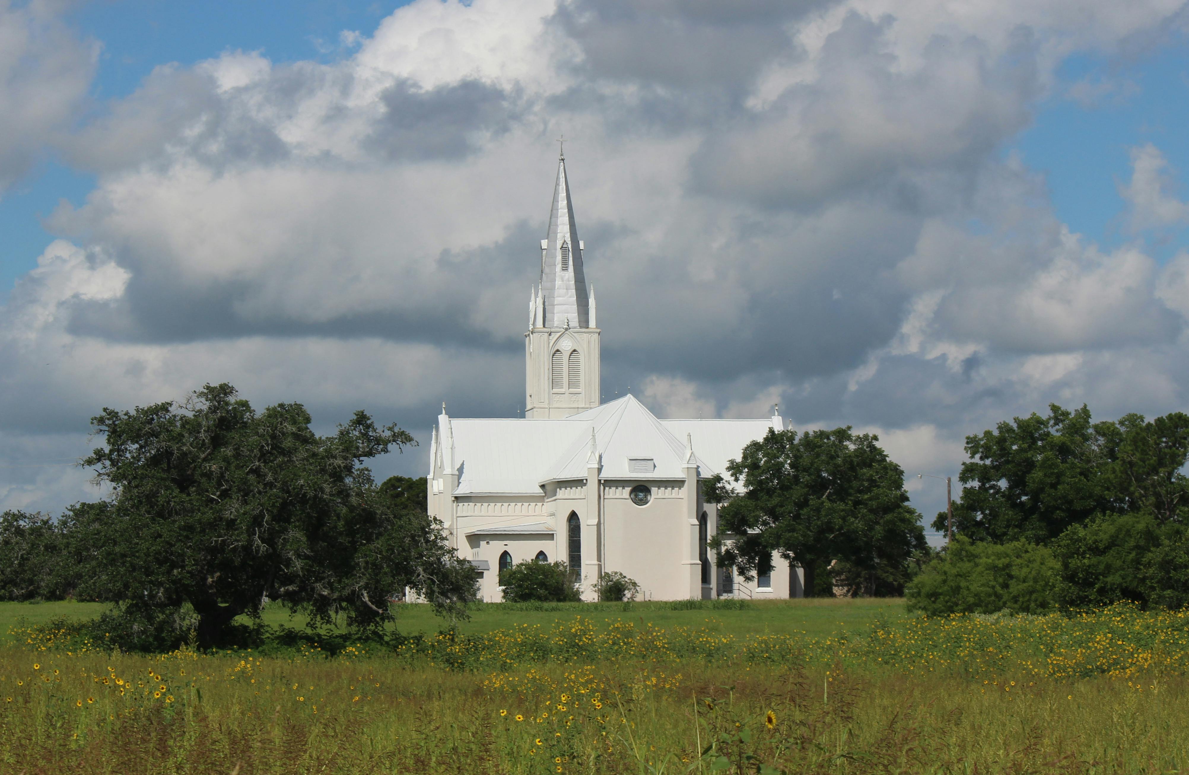 Mount Canaan Baptist Church holds Black Men’s Mental Health Forum — Photo by Reagan Ross on Pexels
